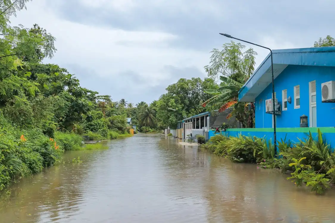 Common scenarios in flood dreams and their meanings